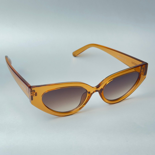 Óculos de Sol - Leme Marrom