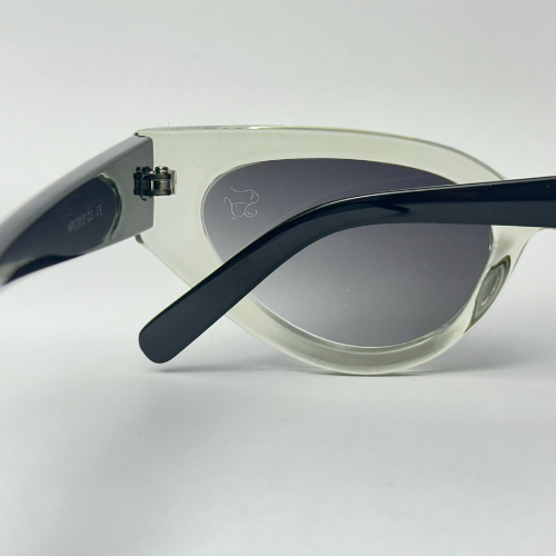 Óculos de Sol - Leme Transparente