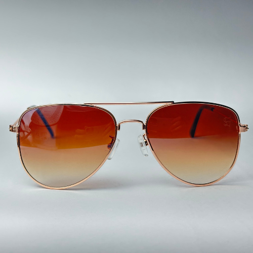 Óculos de Sol - Horizon Marrom