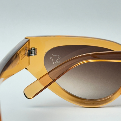 Óculos de Sol - Leme Marrom