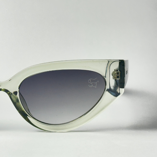 Óculos de Sol - Leme Transparente