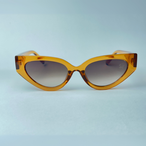 Óculos de Sol - Leme Marrom