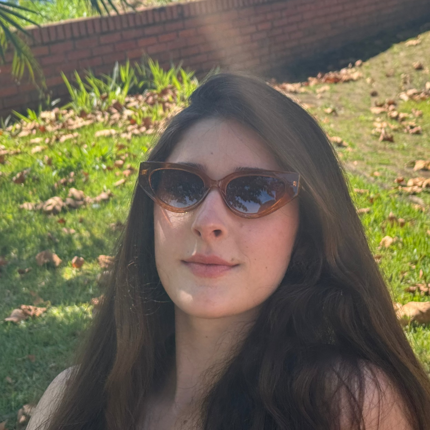 Óculos de Sol - Leme Marrom