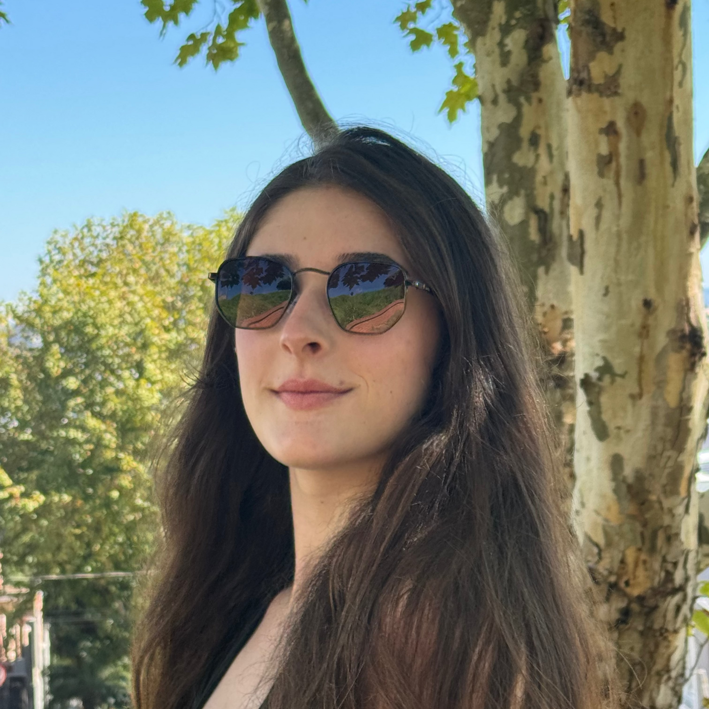 Óculos de sol - Elise bronze Polarizado