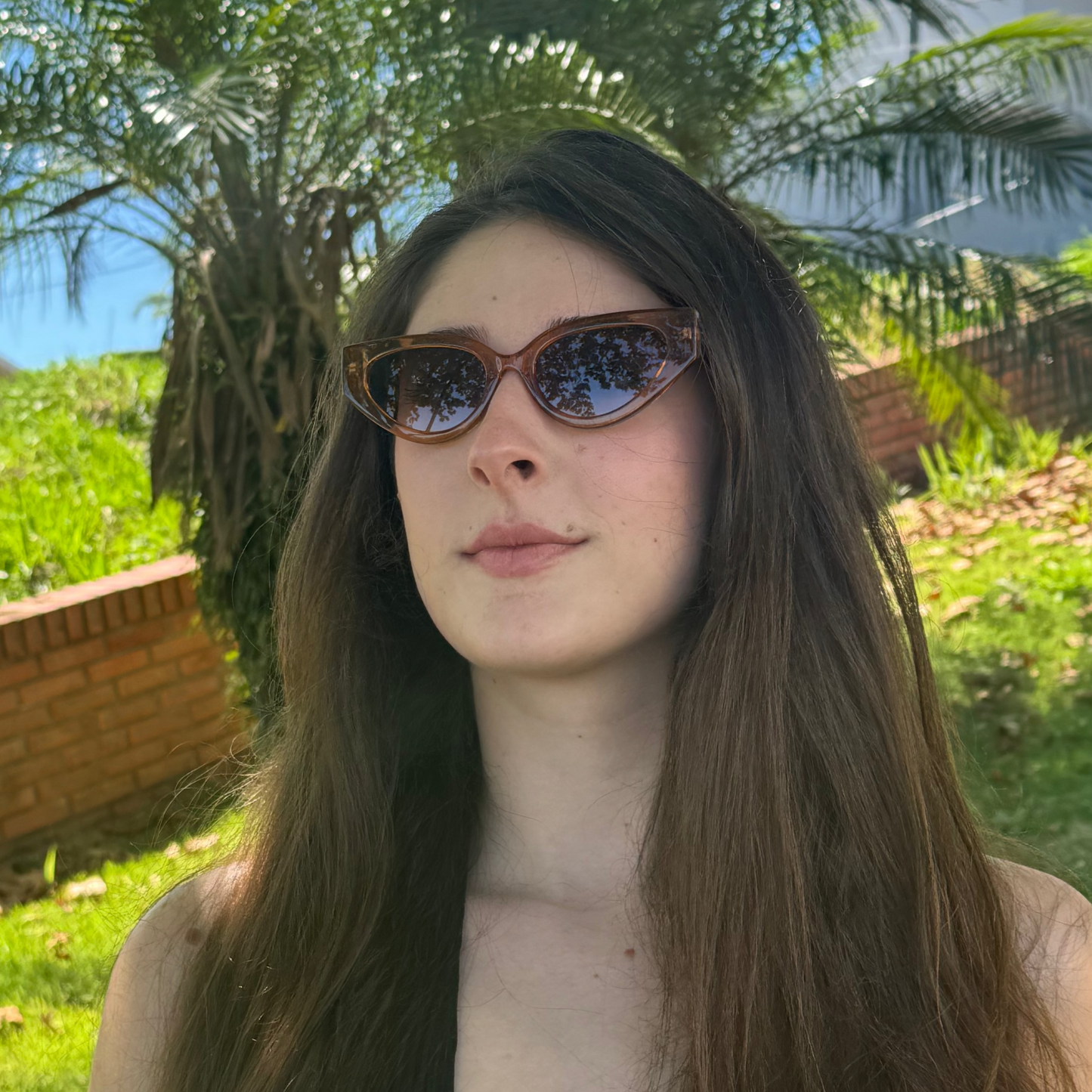 Óculos de Sol - Leme Marrom